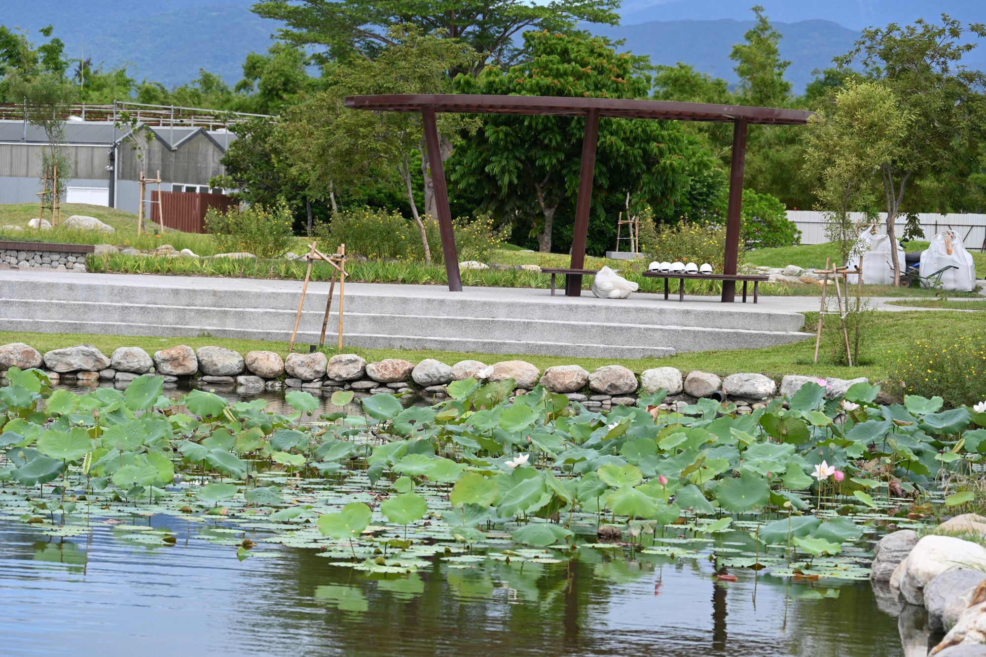 臺東森林公園新風貌！    重啟生態平衡之美