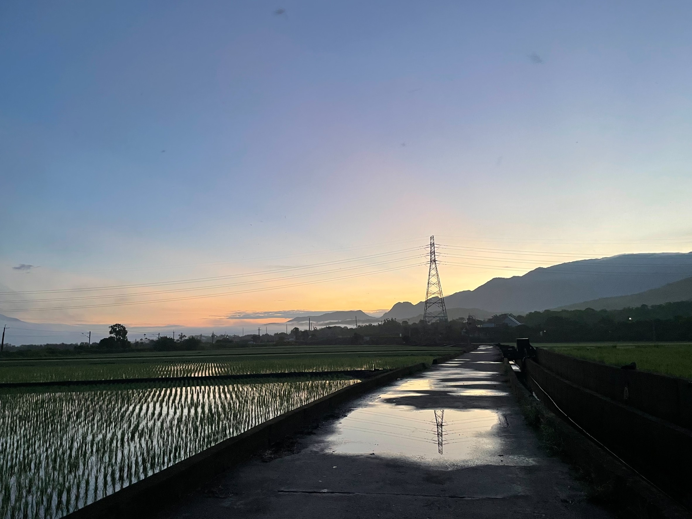 113年2期臺東縣啟動災害稻穀收購機制，維護農民收益