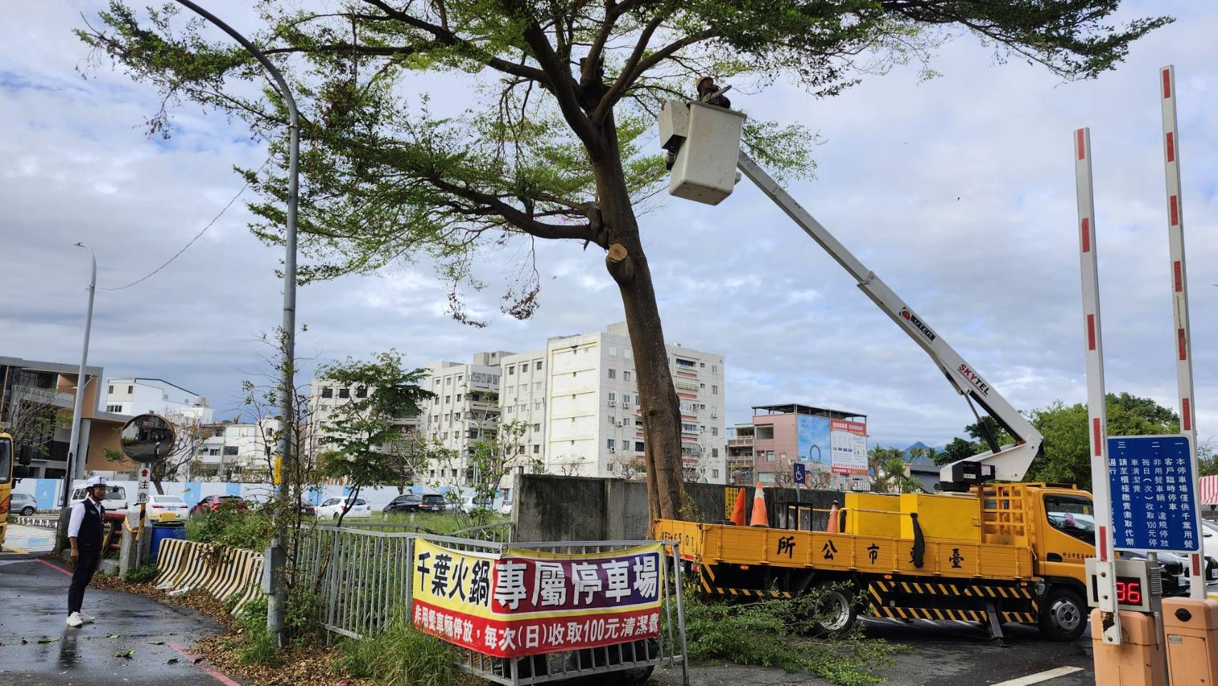 臺東尚未制定通過「街道路樹修整準則規範」！   如何能加強民眾對於城市「綠化」發展的認同？