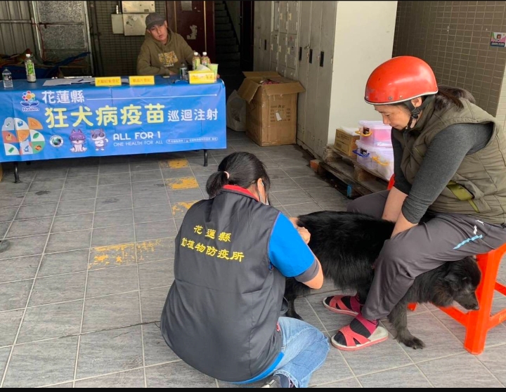 花蓮縣狂犬病防疫不鬆懈 臺灣本島全國連續二年注射率評比第一名