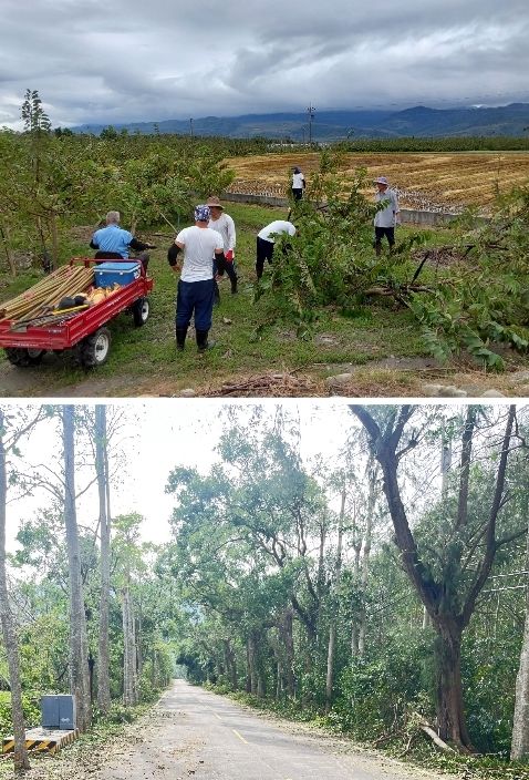 武陵外役監獄本敦親睦鄰之情誼與以協助恢復鹿野鄉地區災後景觀與秩序