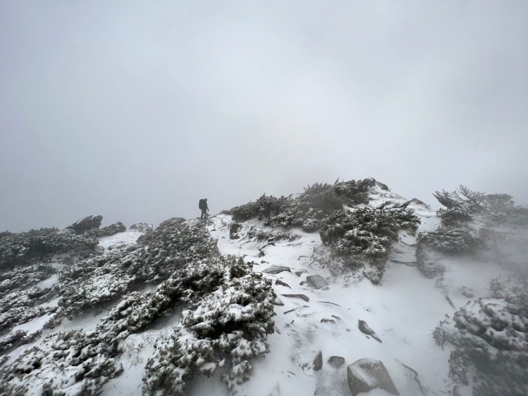 嘉明湖國家步道下起今年第一道雪！  銀白色童話美景畫面曝